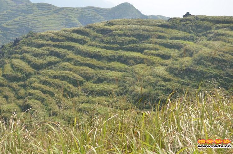 nEO_IMG_平阳秀洋 128.jpg