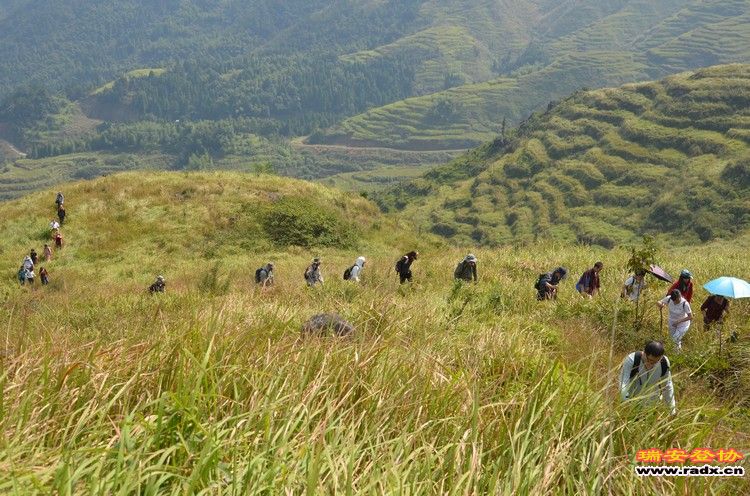 nEO_IMG_平阳秀洋 135.jpg