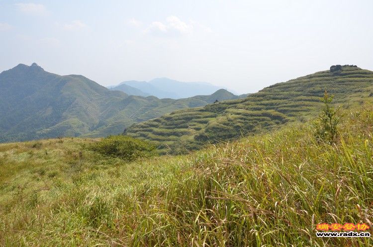 nEO_IMG_平阳秀洋 133.jpg