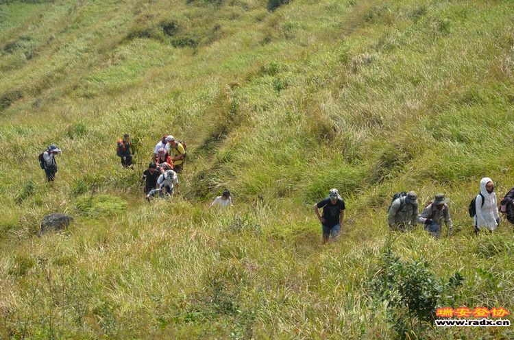 nEO_IMG_平阳秀洋 139.jpg