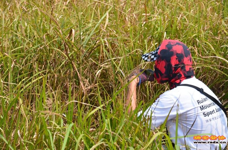 nEO_IMG_平阳秀洋 143.jpg