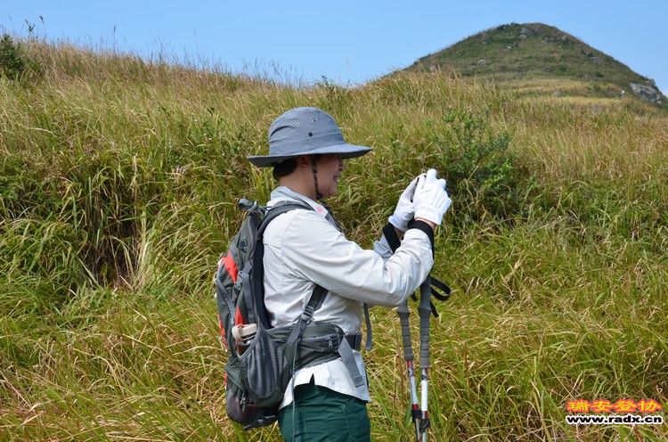 nEO_IMG_平阳秀洋 146.jpg