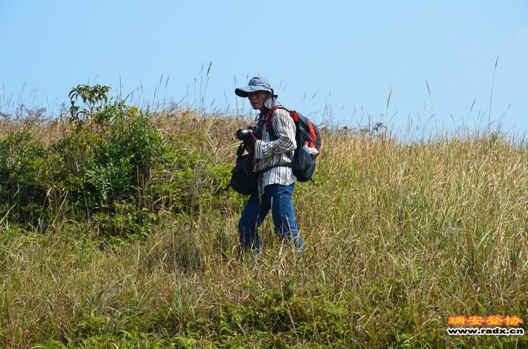 nEO_IMG_平阳秀洋 153.jpg