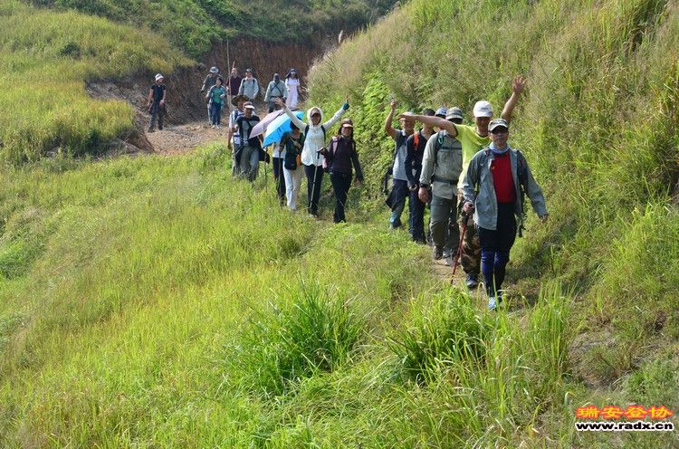 nEO_IMG_平阳秀洋 196.jpg