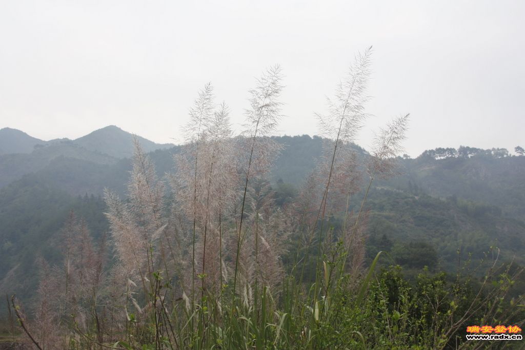 _MG_8794.JPG