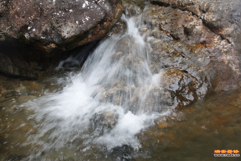 _MG_8913.JPG