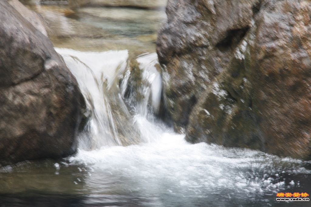 _MG_8920.JPG