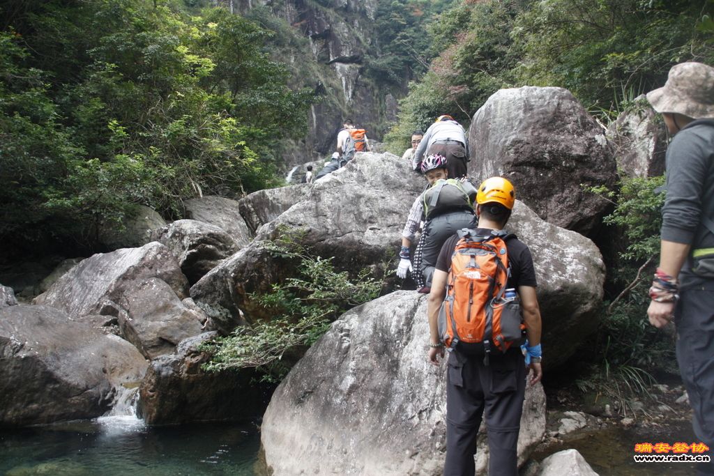 _MG_8924.JPG