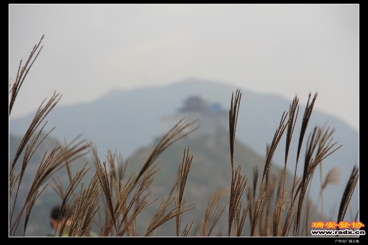 温州布达拉宫 067.jpg