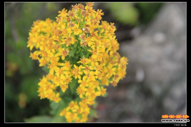 温州布达拉宫 079.jpg