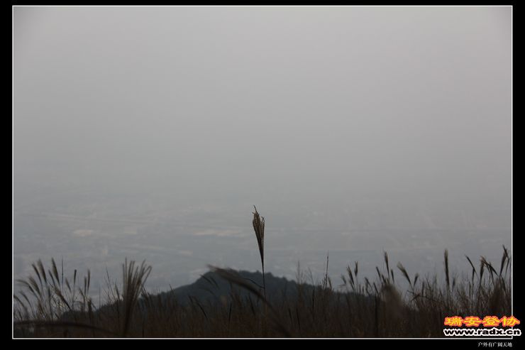 温州布达拉宫 126.jpg