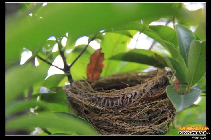 温州布达拉宫 127.jpg