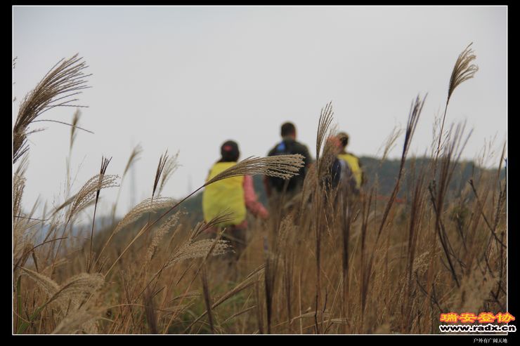 温州布达拉宫 125.jpg