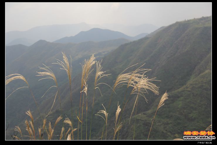 温州布达拉宫 077.jpg