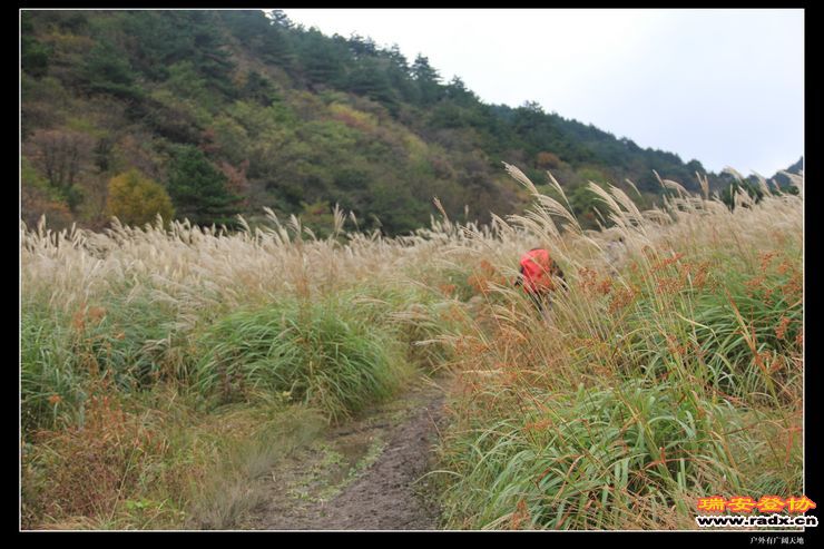 徽杭古道 240.jpg