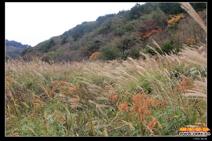 徽杭古道 237.jpg