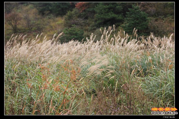 徽杭古道 239.jpg