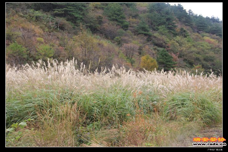 徽杭古道 238.jpg