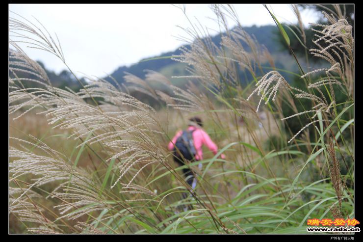 徽杭古道 243.jpg