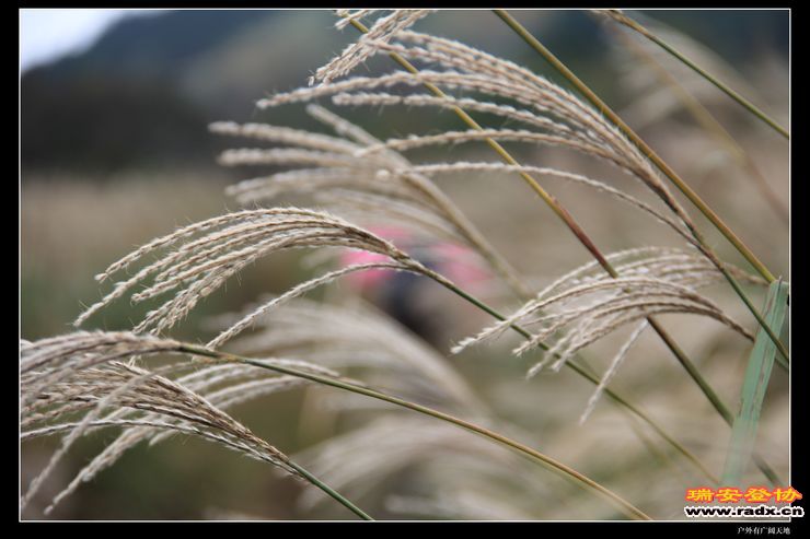 徽杭古道 244.jpg