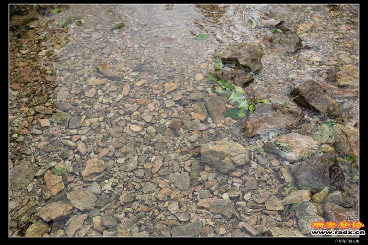 徽杭古道 246.jpg