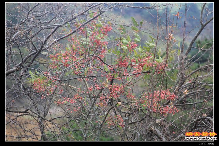 徽杭古道 248.jpg