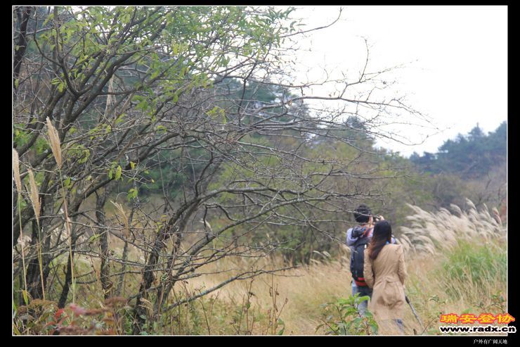 徽杭古道 247.jpg