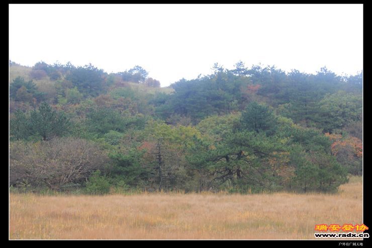 徽杭古道 298.jpg