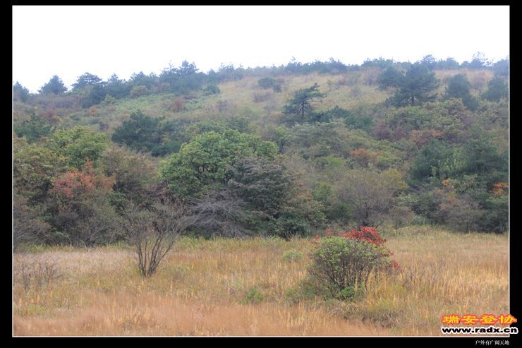 徽杭古道 299.jpg