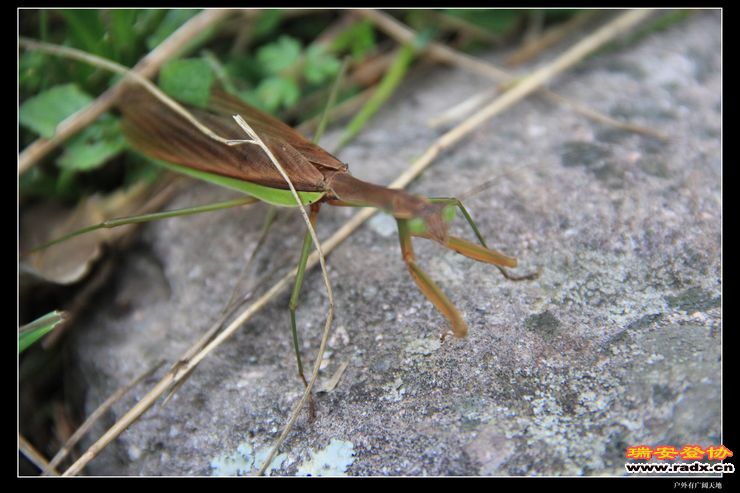 徽杭古道 332.jpg