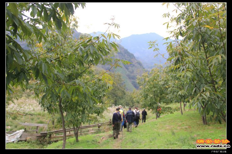 徽杭古道 335.jpg