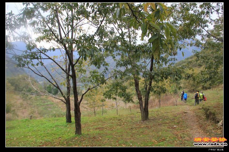 徽杭古道 334.jpg