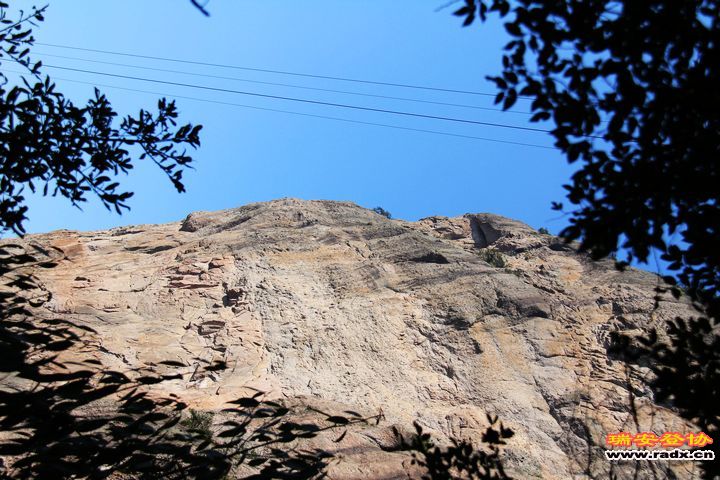 IMG_6177.jpg
