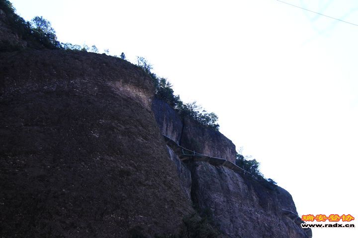 IMG_6191.jpg