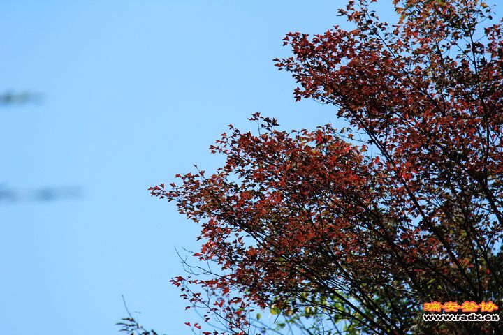 IMG_6155.jpg