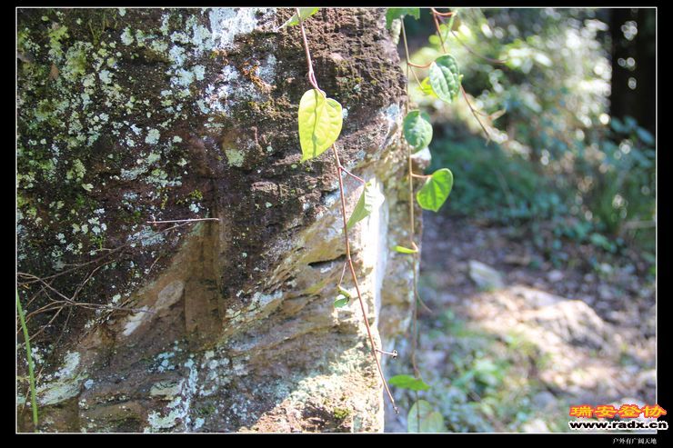 与仙同游 078.jpg