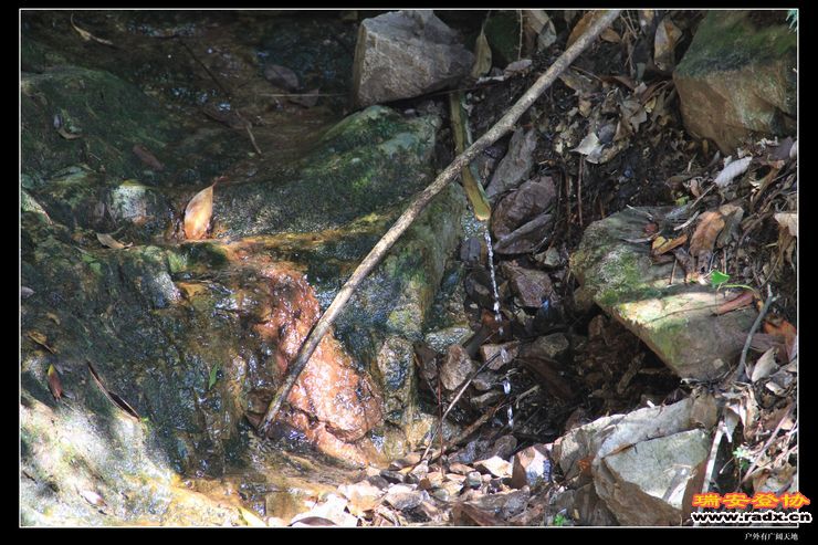 与仙同游 094.jpg