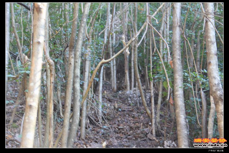 与仙同游 112.jpg