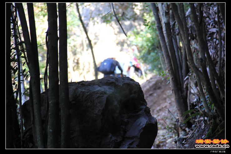 与仙同游 114.jpg