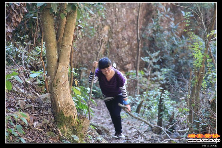 与仙同游 127.jpg