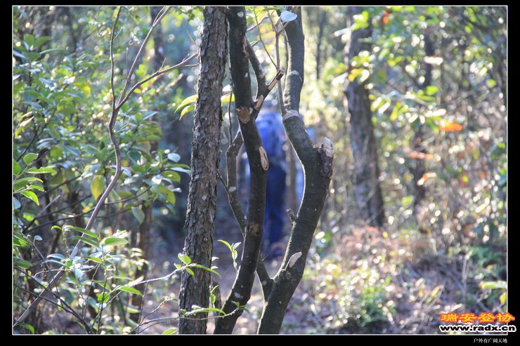 与仙同游 190.jpg