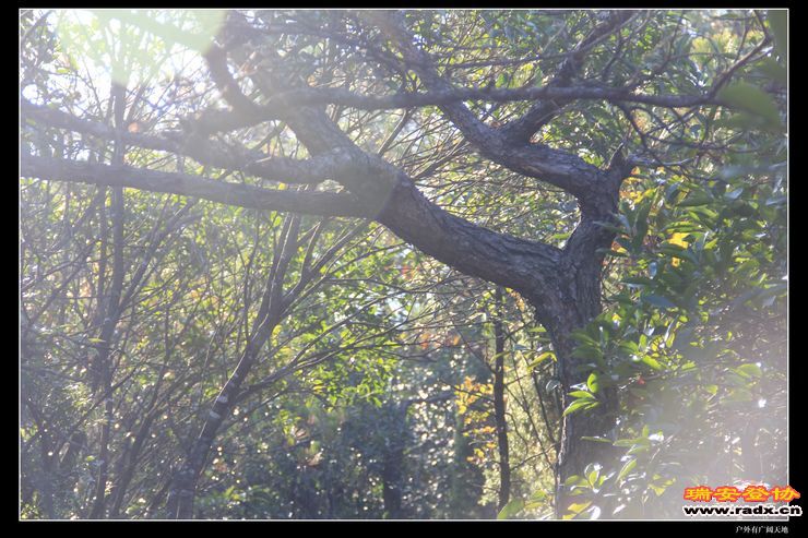 与仙同游 191.jpg