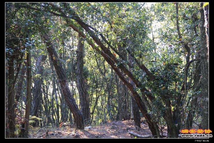 与仙同游 192.jpg