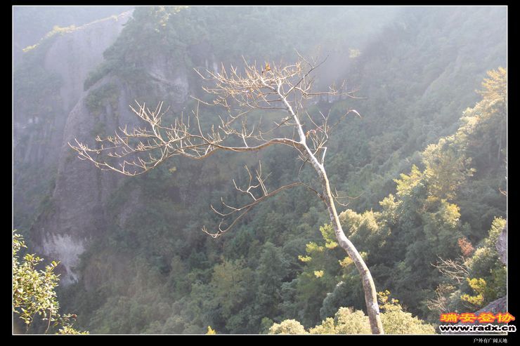 与仙同游 248.jpg