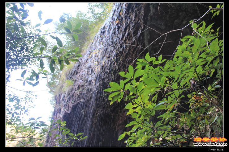 与仙同游 256.jpg