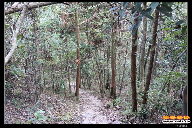 与仙同游 255.jpg