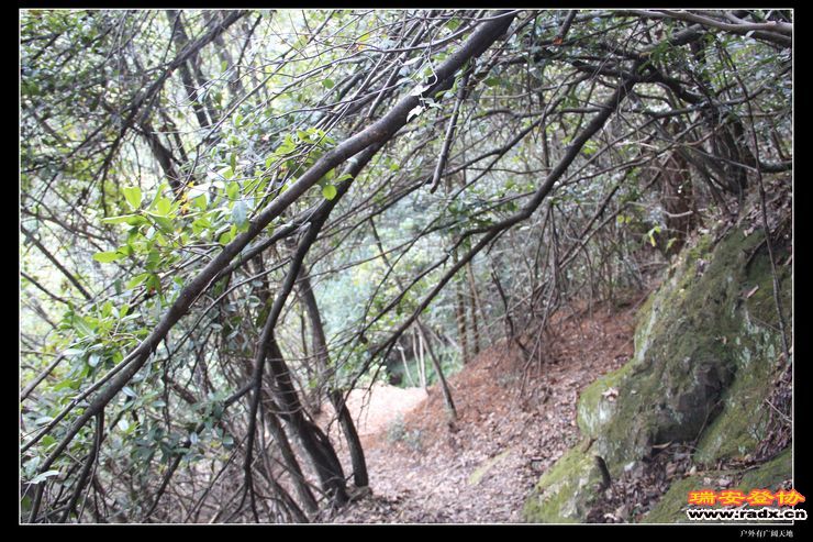 与仙同游 254.jpg