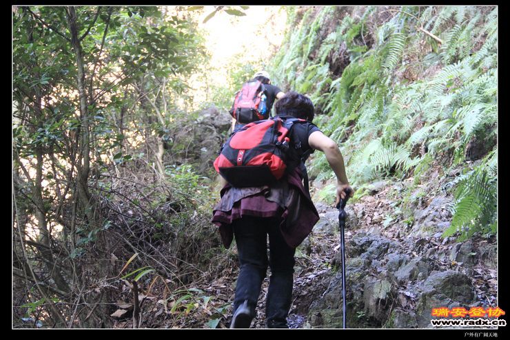 与仙同游 257.jpg