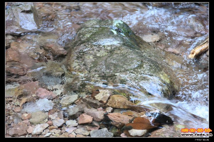 与仙同游 265.jpg