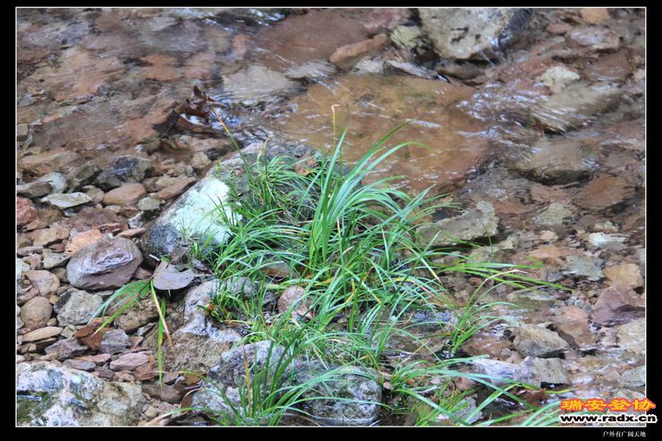 与仙同游 266.jpg